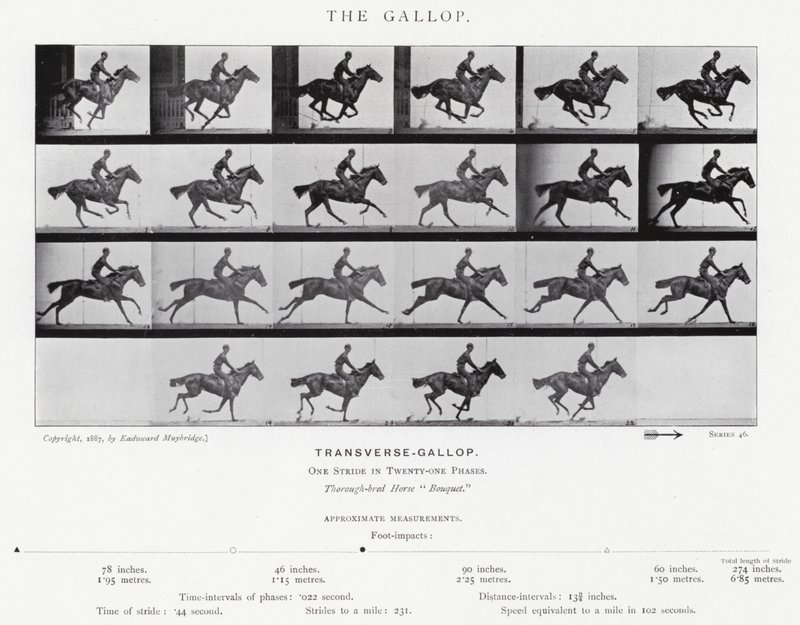 The Gallop by Eadweard Muybridge