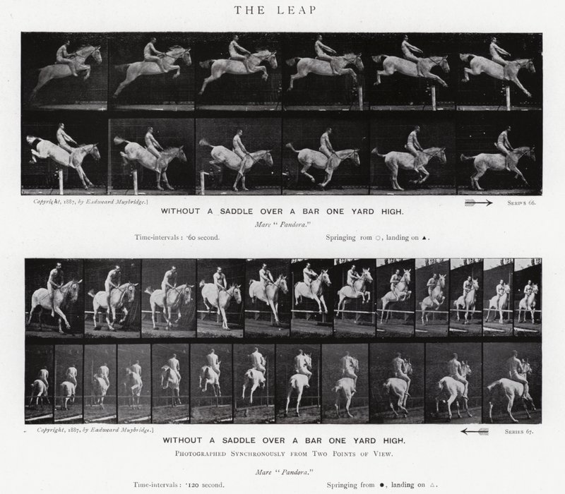 Eadweard Muybridge: The Leap by Eadweard Muybridge