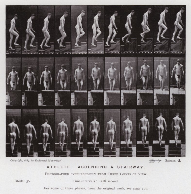 The Human Figure in Motion: Athlete, ascending a stairway by Eadweard Muybridge