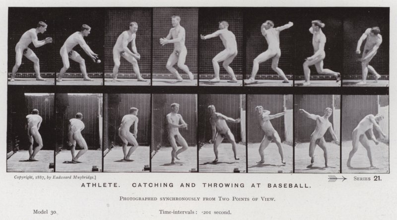 The Human Figure in Motion: Athlete, catching and throwing at baseball by Eadweard Muybridge