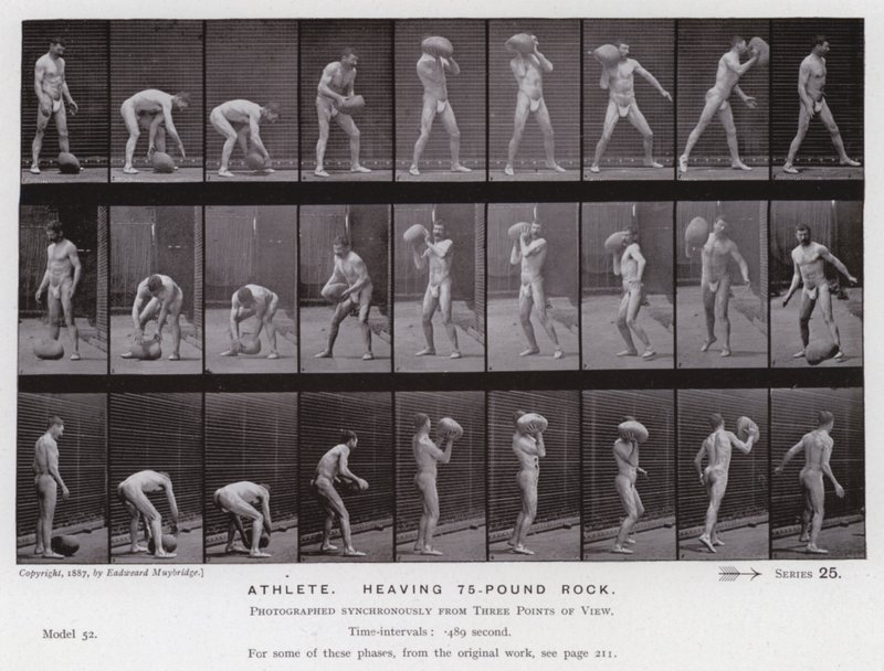 The Human Figure in Motion: Athlete, heaving a 75-pound rock by Eadweard Muybridge
