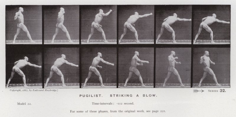 The Human Figure in Motion: Pugilist, Striking a Blow by Eadweard Muybridge