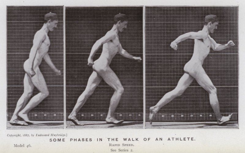 The Human Figure in Motion: Some phases in the walk of an athlete by Eadweard Muybridge