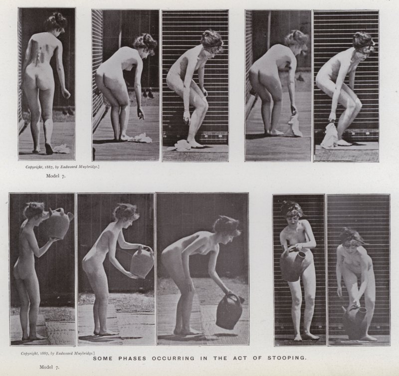 The Human Figure in Motion: Some Phases Occurring in the Act of Stooping by Eadweard Muybridge
