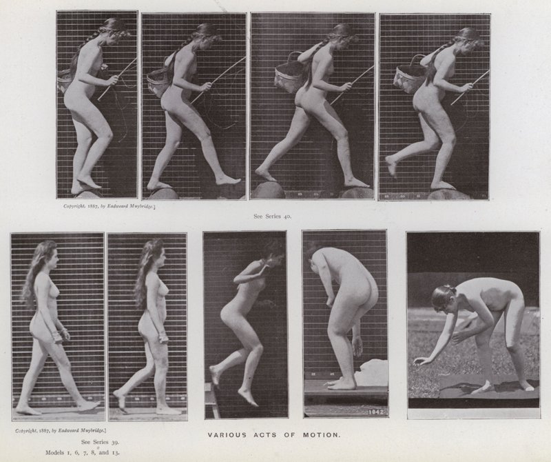 The Human Figure in Motion: Various acts of motion by Eadweard Muybridge