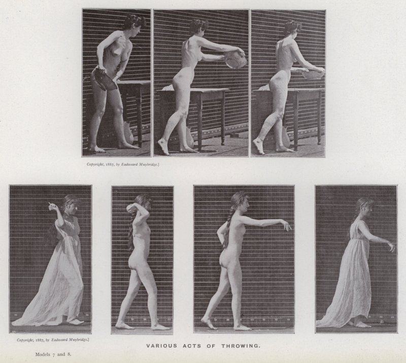 The Human Figure in Motion: Various acts of throwing by Eadweard Muybridge