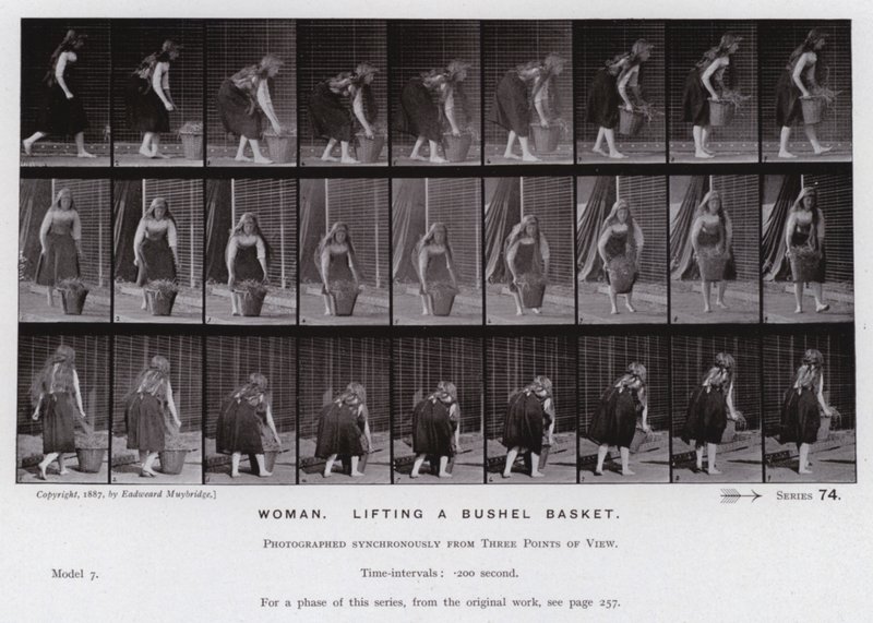 The Human Figure in Motion: Woman, lifting a bushel basket by Eadweard Muybridge