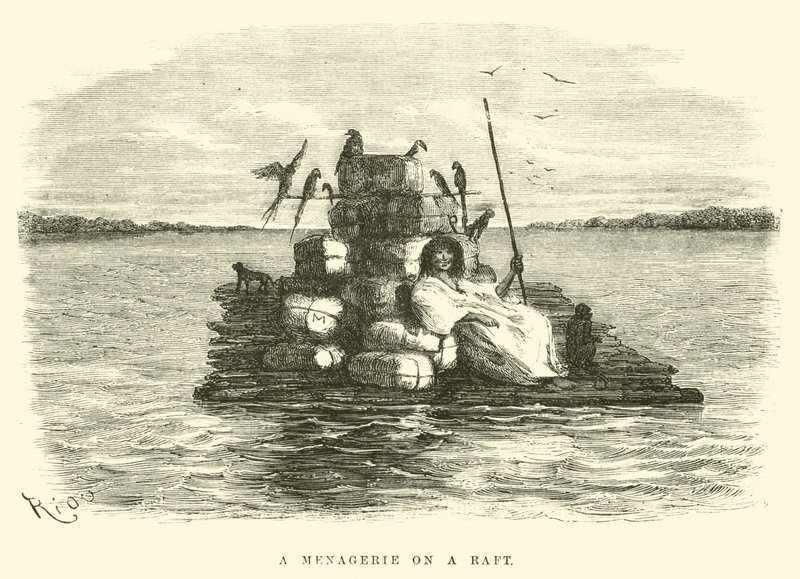 A Menagerie on a Raft by Edouard Riou