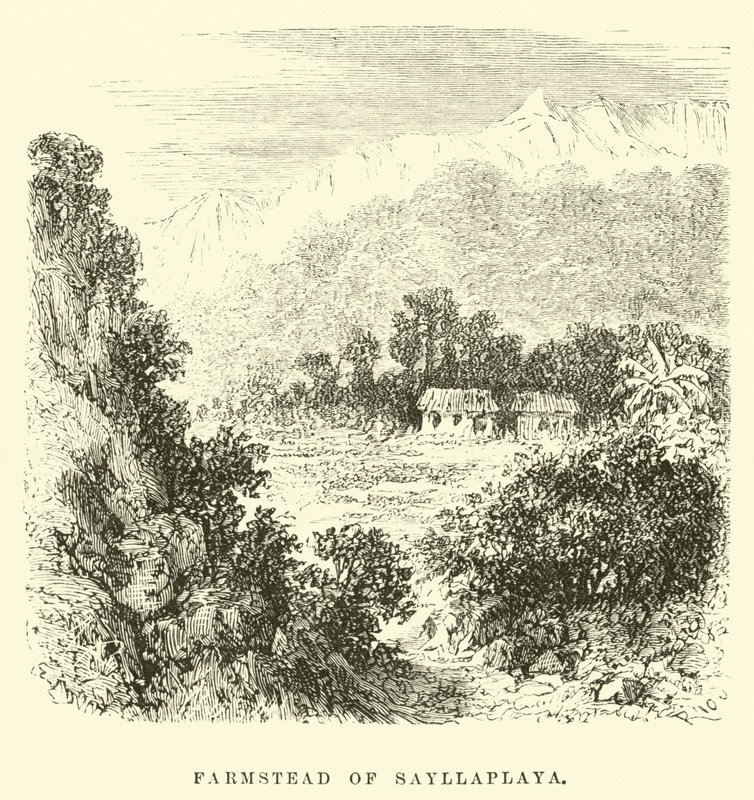 Farmstead of Sayllaplaya by Edouard Riou