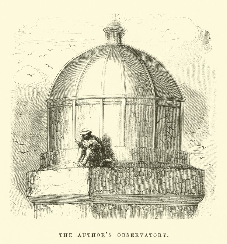 The Author