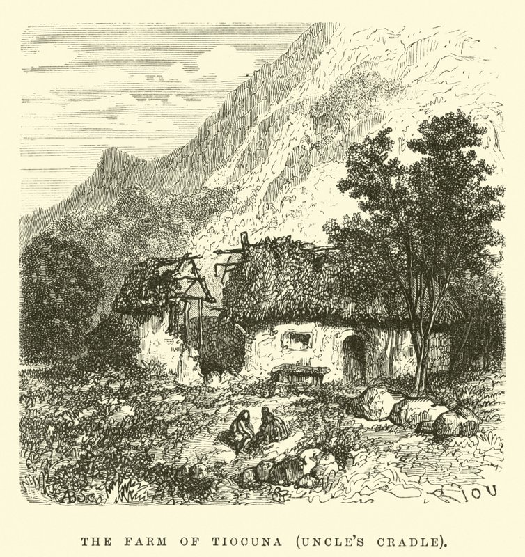 The Farm of Tiocuna, Uncle