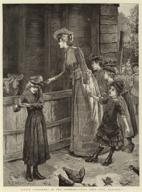 Little Londoners in the Country, will they bite, teacher by Edward Frederick Brewtnall