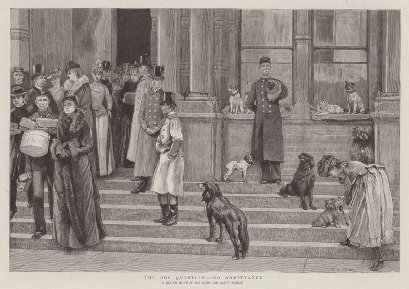 The Dog Question, No Admittance by Edward Killingworth Johnson