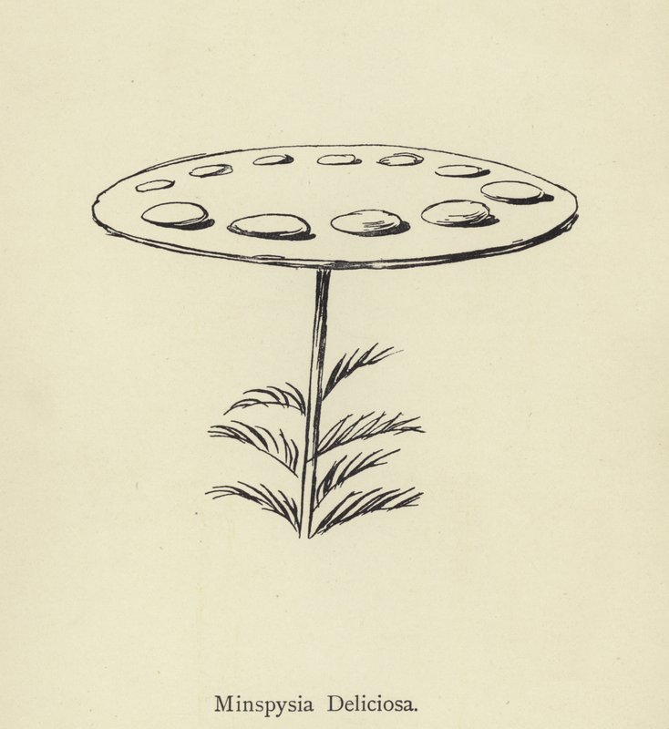Minspysia Deliciosa by Edward Lear