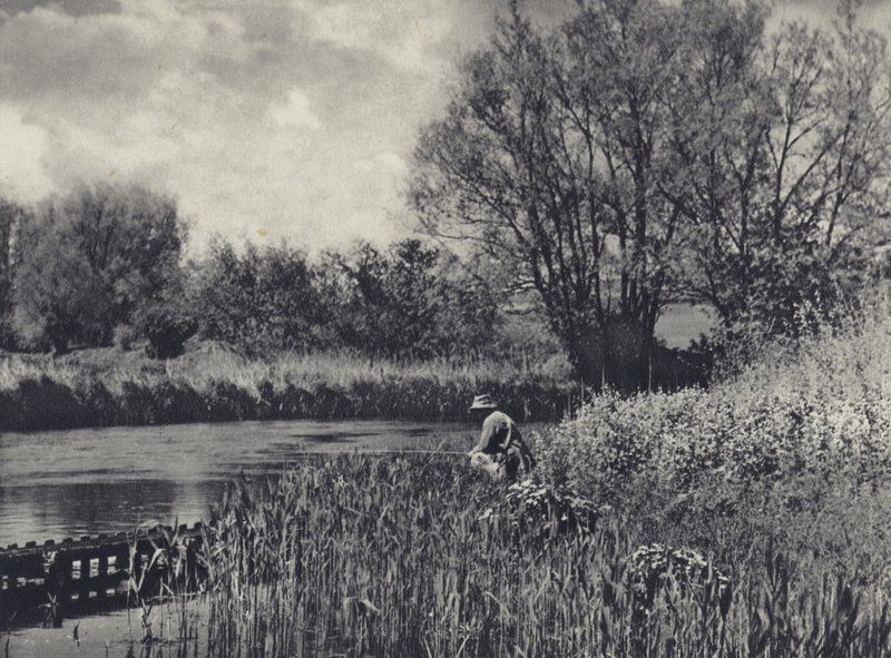 May-time on a Test Tributary by Edward Alfred Barton