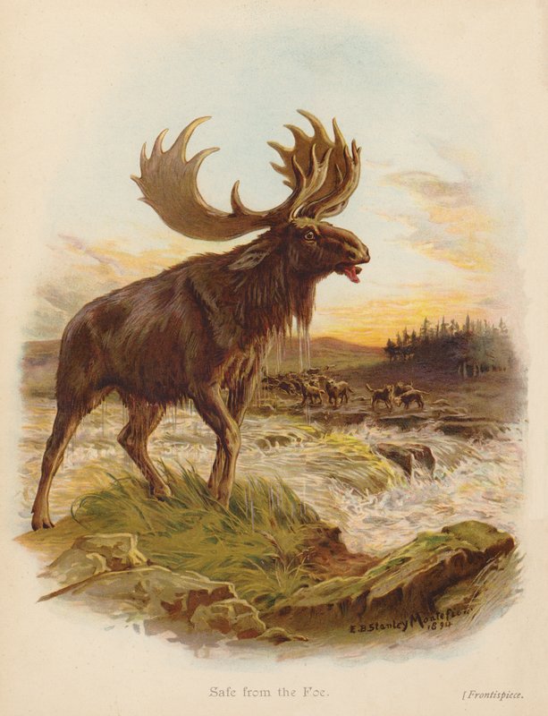 Safe from the Foe by Edward Brice Montefiore