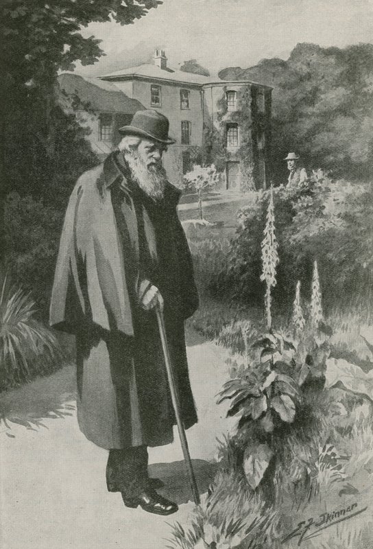 Charles Darwin in His Garden at Down House (litho) by Edward Frederick Skinner