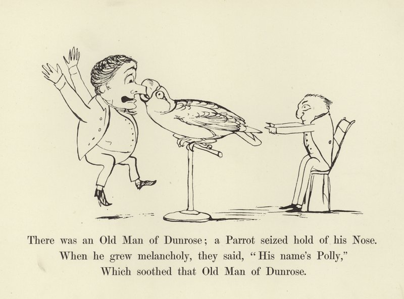 There Was an Old Man of Dunrose; a Parrot Seized Hold of His Nose by Edward Lear