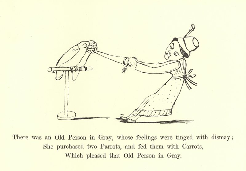 There Was an Old Person in Gray, Whose Feelings Were Tinged with Dismay by Edward Lear