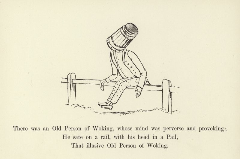 There Was an Old Person of Woking, Whose Mind Was Perverse and Provoking by Edward Lear