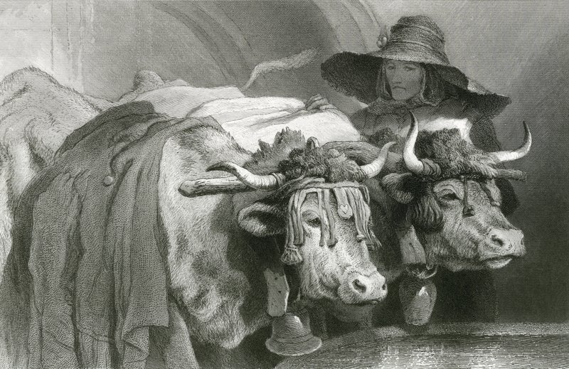 Oxen at the tank, Geneva (engraving) by Edwin (after) Landseer