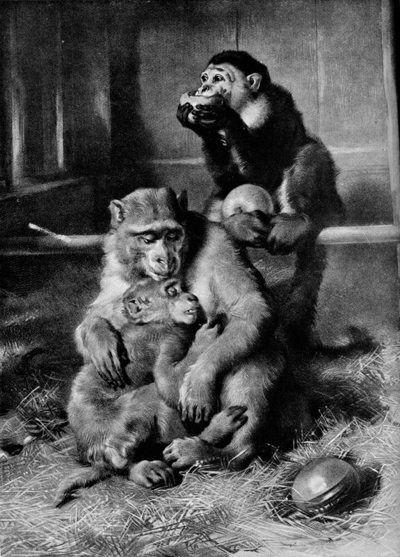Edwin_Henry_Landseer_-