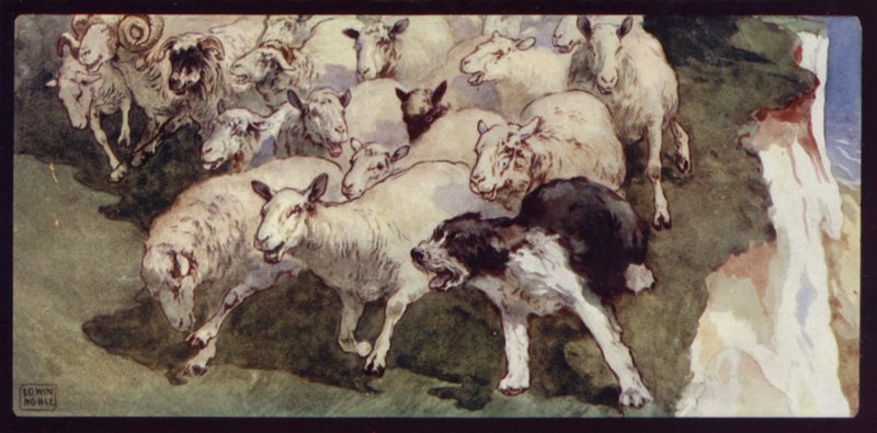 Bobtailed Sheep-Dog and Flock on the Cliffs by Edwin Noble