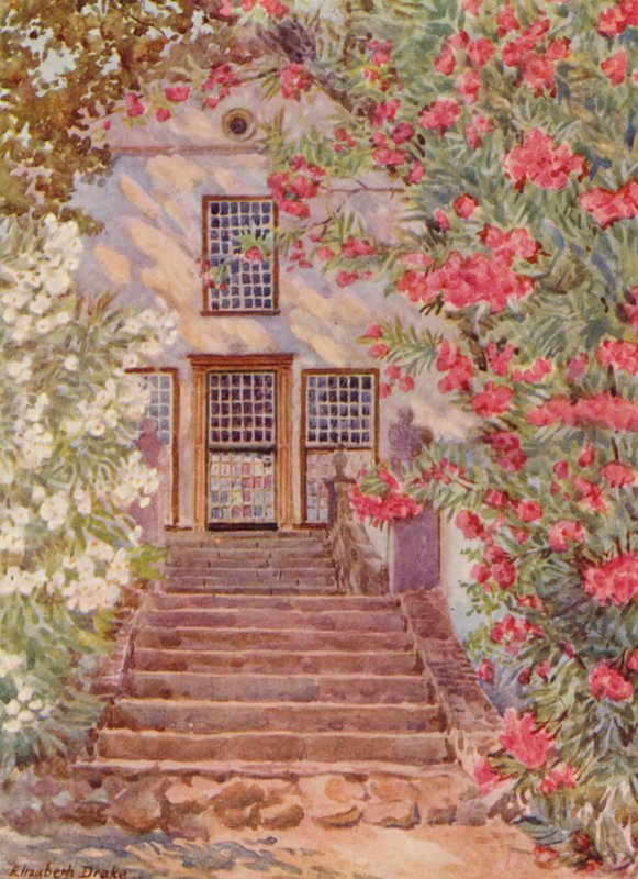 Pink and White Oleanders, Alphen, Wynberg by Elizabeth Drake
