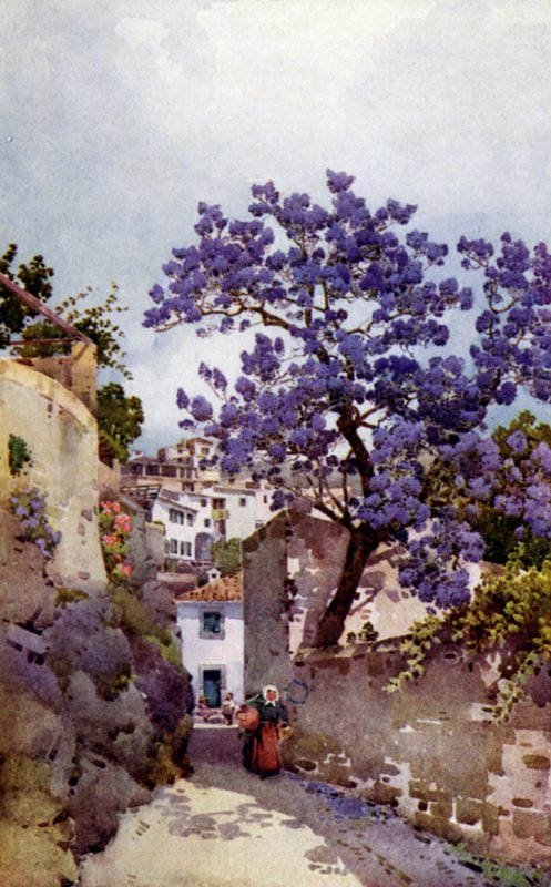 Jackaranda Tree by Ella Du Cane
