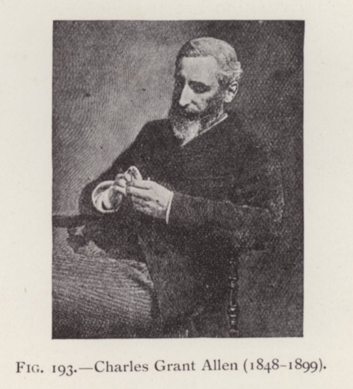 Charles Grant Allen (1848-1899), portrait by English Photographer