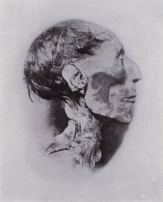 Egypt: Head of Rameses II by English Photographer