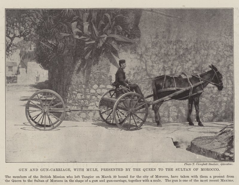 Gun and Gun-Carriage, with Mule, presented by the Queen to the Sultan of Morocco by English Photographer