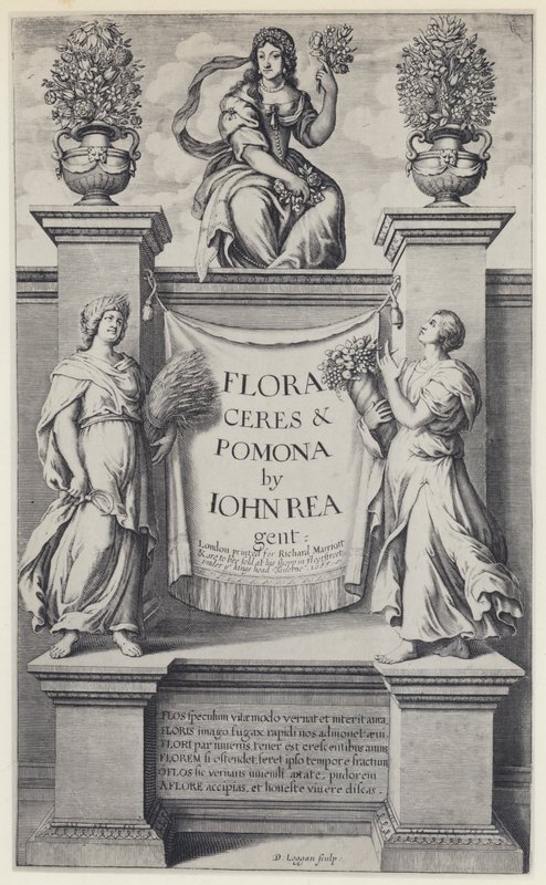 J Rea, Flora, Ceres, and Pomona, R Marriott 1665 by English Photographer