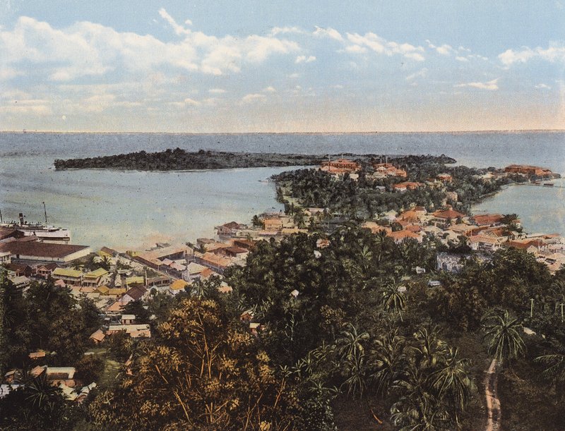 Kingston, Jamaica: Bird