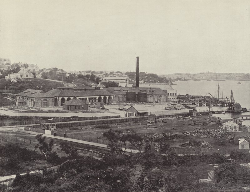 Sunlight Soap Company