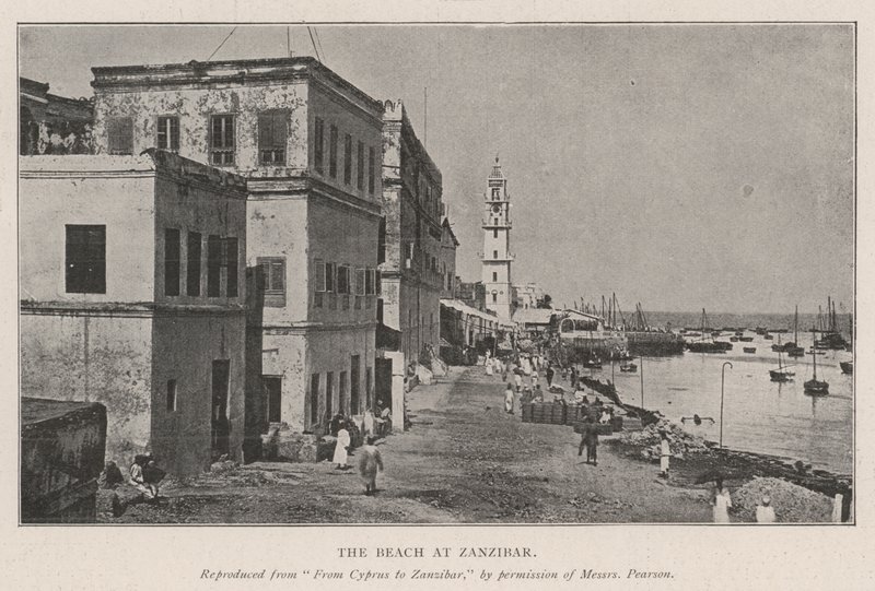 The Beach at Zanzibar by English Photographer