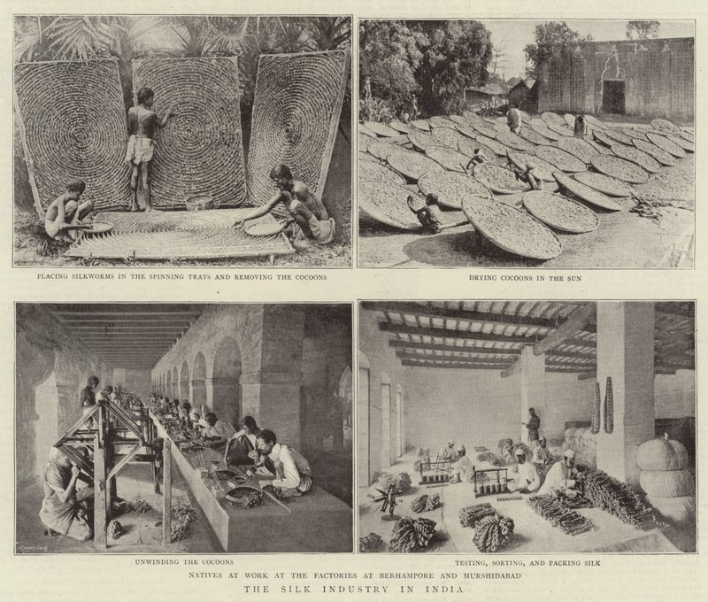 The Silk Industry in India by English Photographer