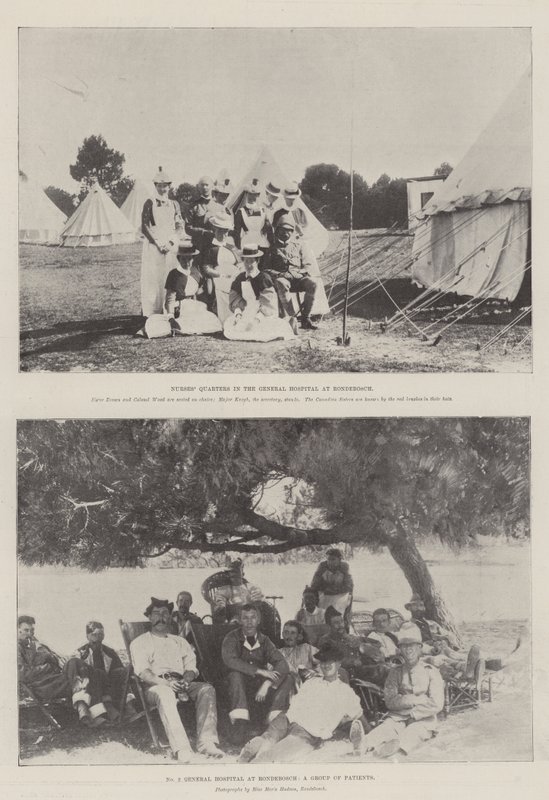 The War in South Africa by English Photographer