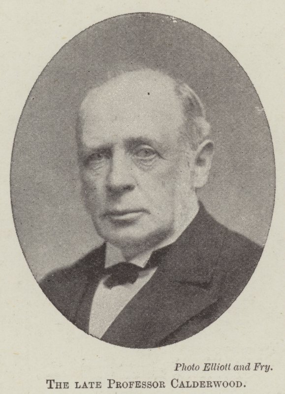 The Late Professor Calderwood by English Photographer