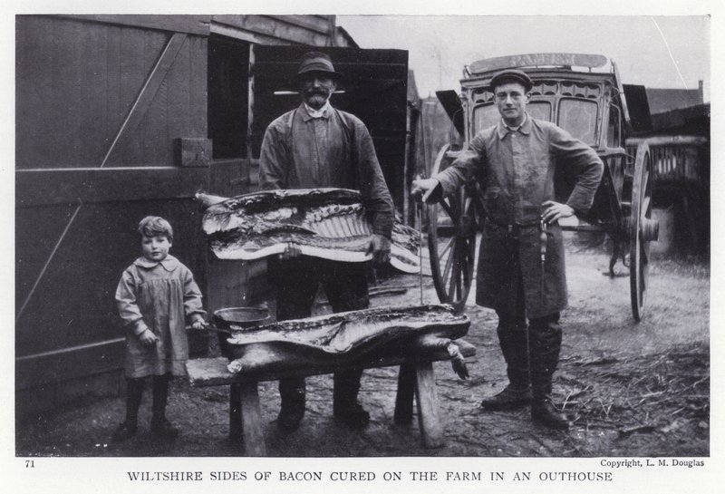 Wiltshire sides of bacon cured on the farm in an outhouse by English Photographer