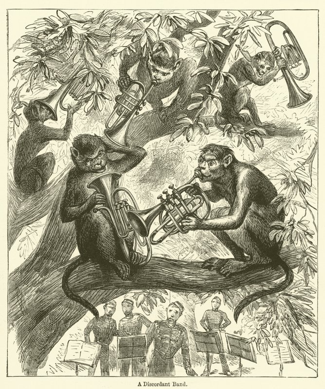 A Discordant Band by English School