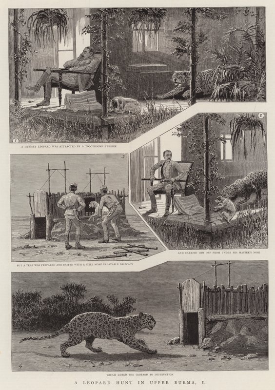 A Leopard Hunt in Upper Burma, I by English School