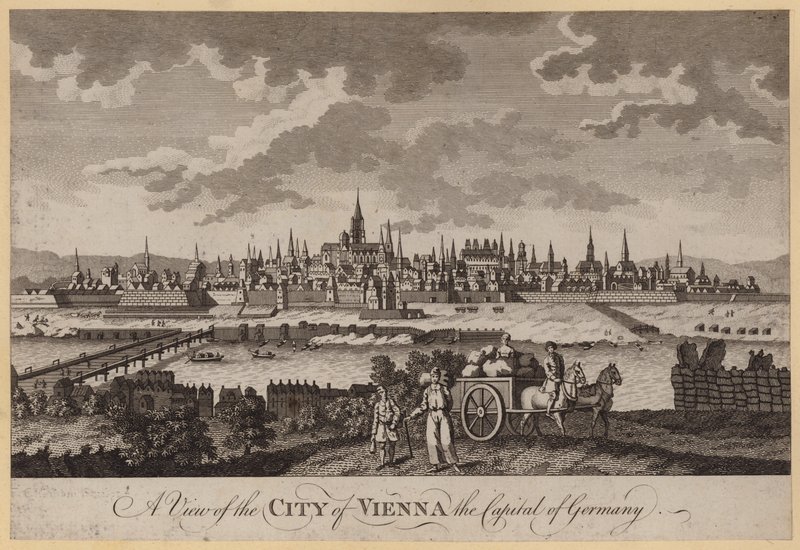 A View of the City of Vienna, the Capital of Germany by English School