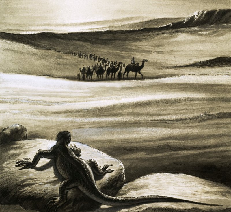 A Lizard Watching a Camel Train Crossing the Desert by English School