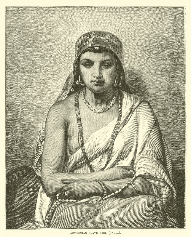 Abyssinian slave girl, Galla by English School