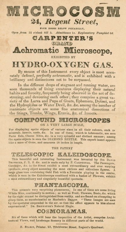 Advert for Microcosm exhibition at 24 Regent Street, London by English School