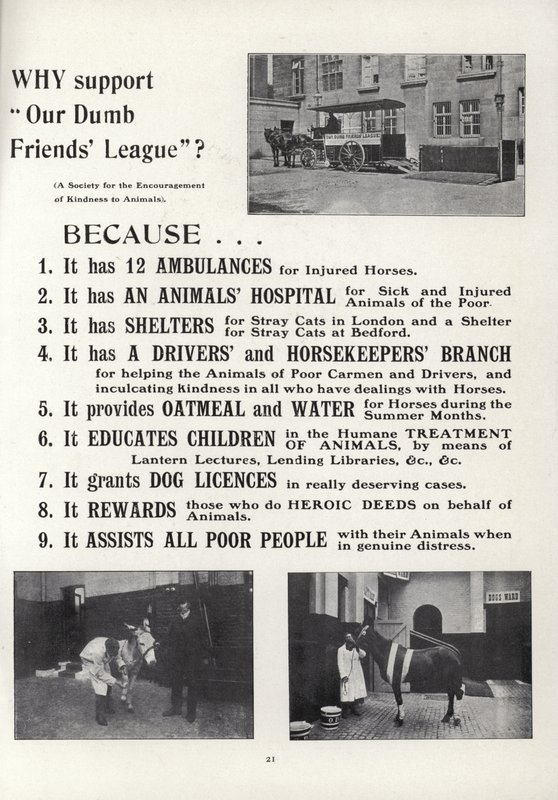 Advertisement for Our Dumb Friends League by English School