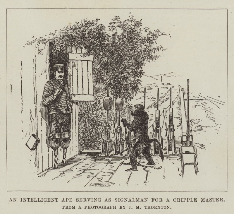 An Intelligent Ape Serving as Signalman for a Cripple Master by English School
