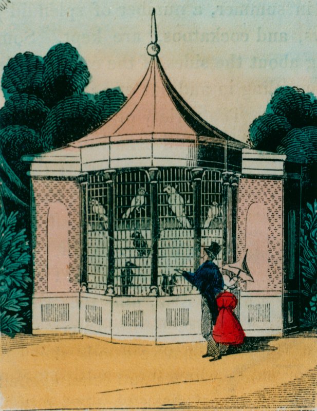 Aviary for parrots and cockatoos at the London zoo. 1840s by English School