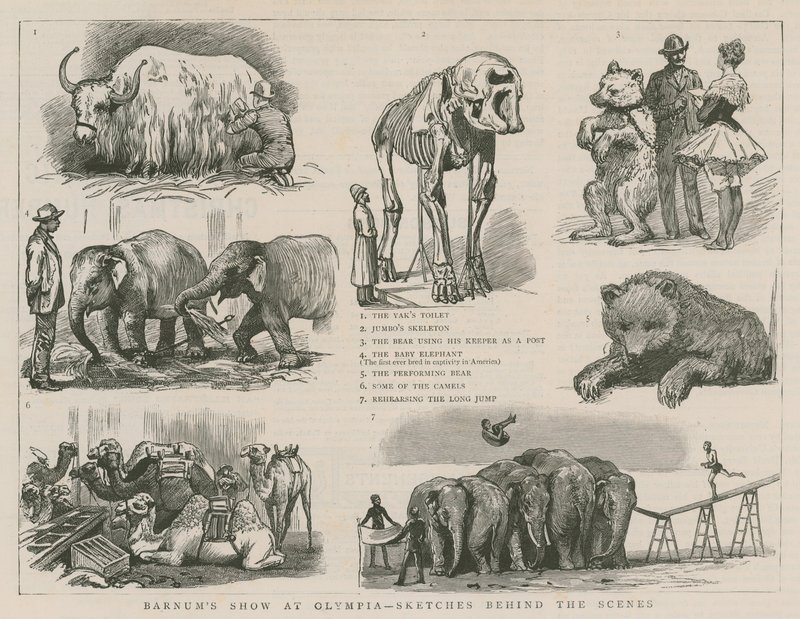 Barnum